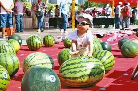 每日大赛在线吃瓜入口