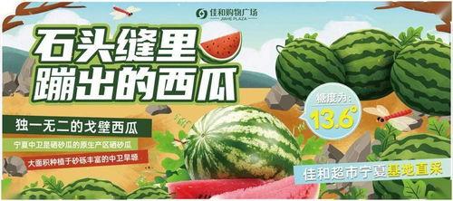 每日大赛在线吃瓜入口